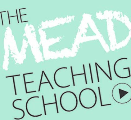 MEAD teaching school