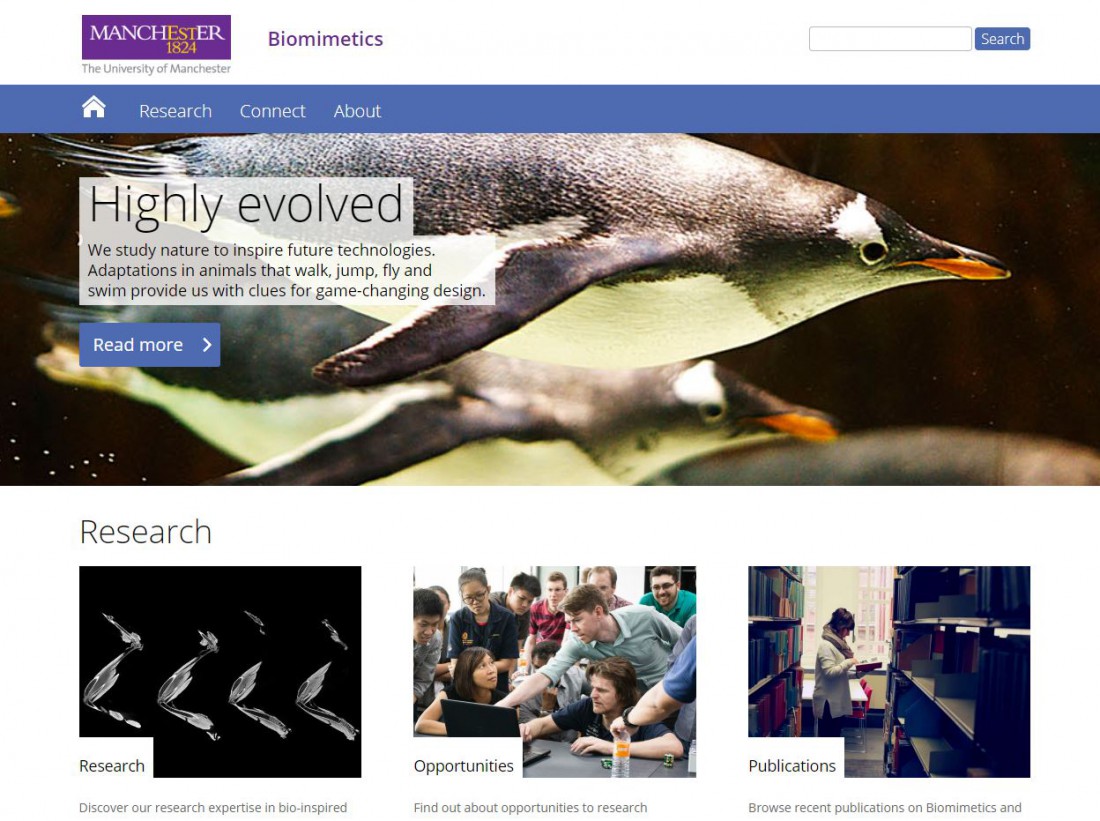 MACE areas of research expertise - Biomimetics homepage